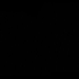 Meet your Posher, Lance